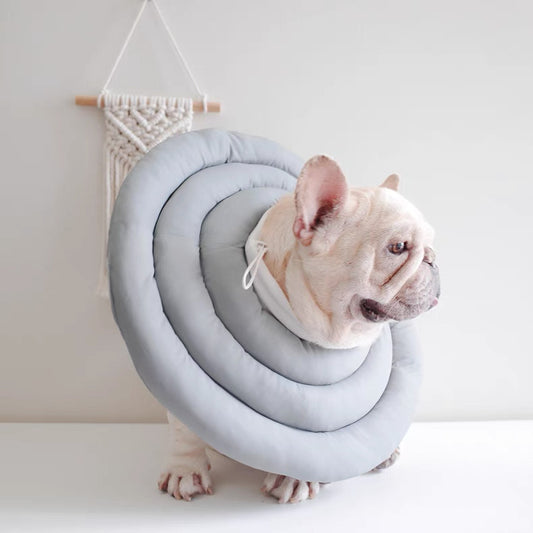 Collar isabelino impermeable con cinta ajustable