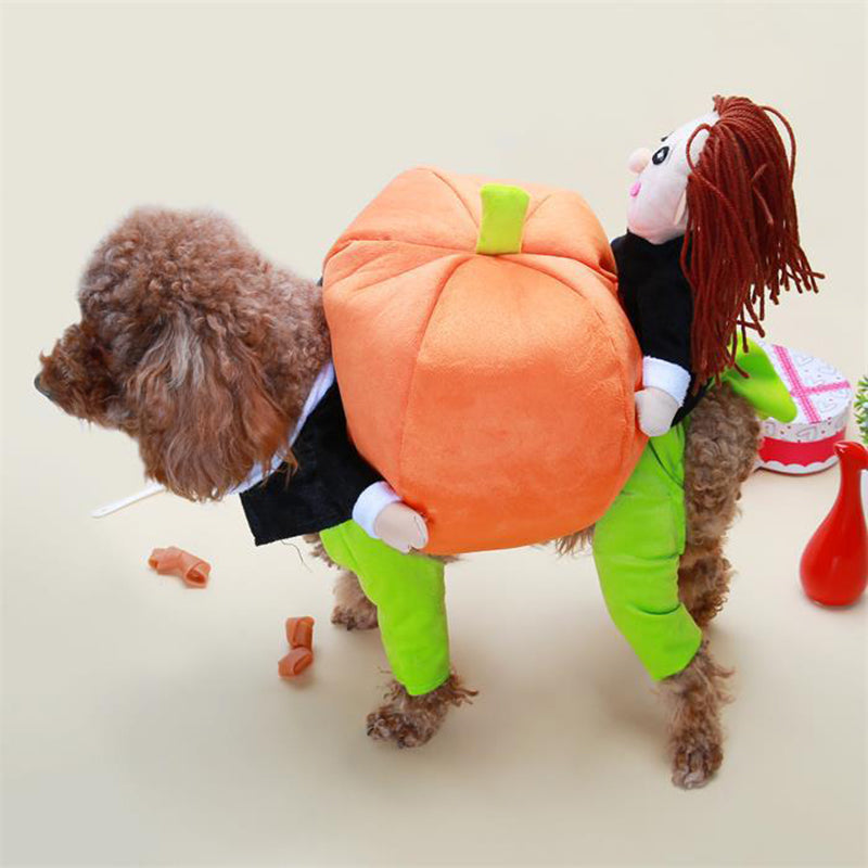 Disfraz halloween calabaza para mascotas