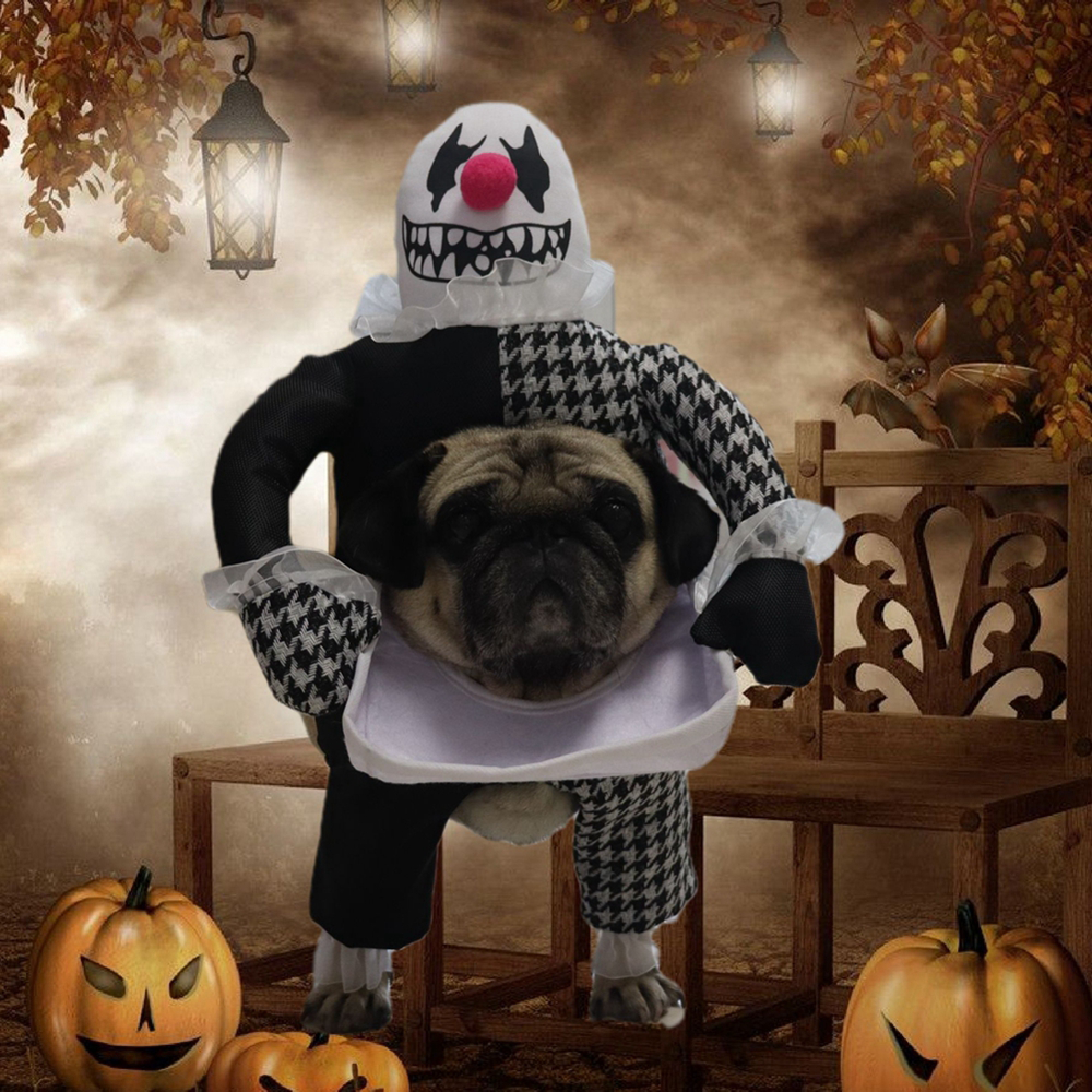 Disfraz Halloween de payaso para mascotas