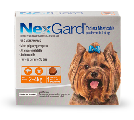 Antiparasitario externo NexGard 2-4kg