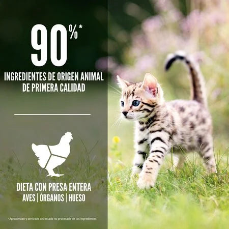 Comida para Gato Orijen: Kitten 2kg