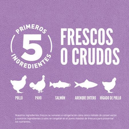 Comida para Gato Orijen: Kitten 2kg