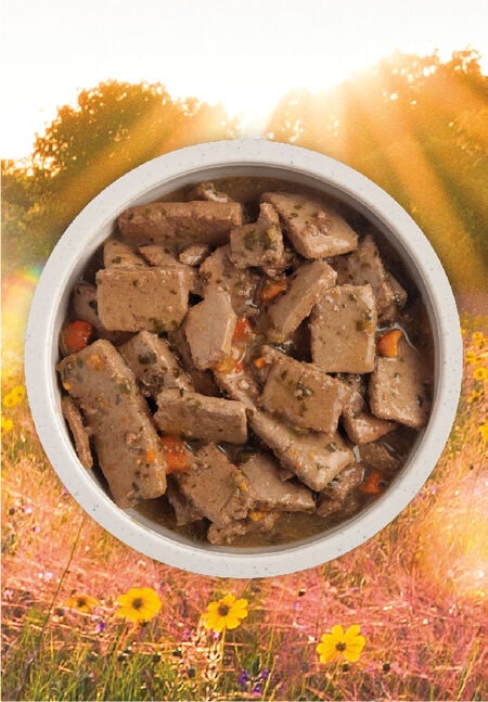 Comida Húmeda para Perro Acana: Lata, Receta de Cordero en Caldo de Huesos con Trozos 368gr