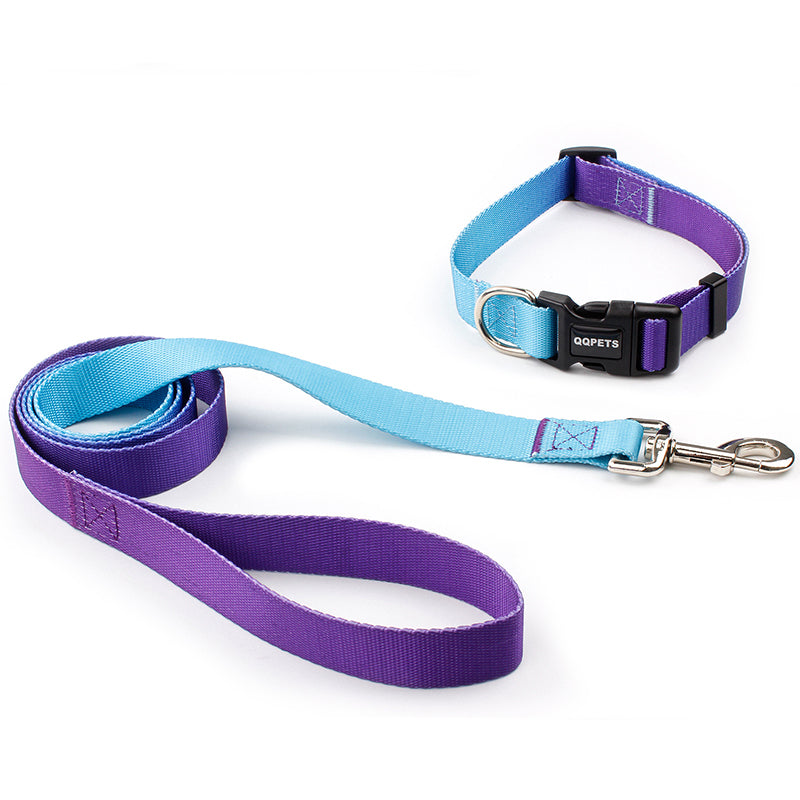 Collar y correa de tracción adecuada para perros pequeños y grandes
