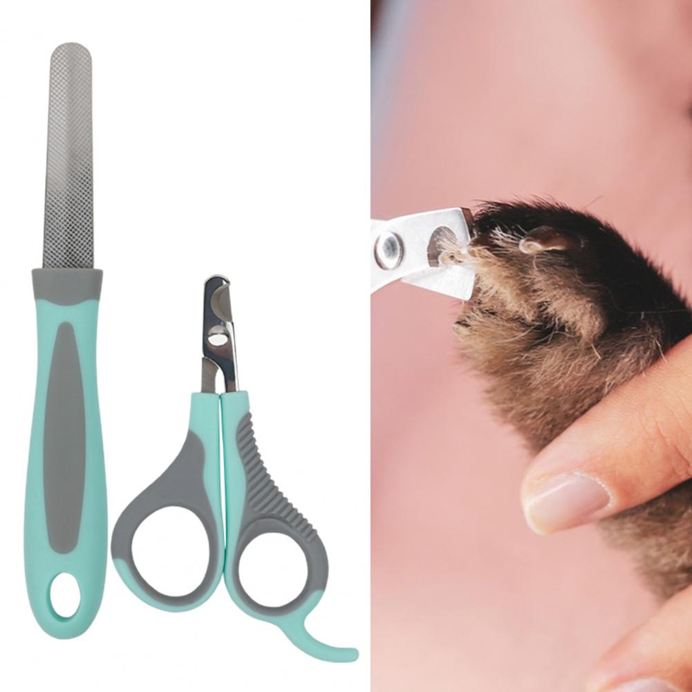 Set de cortaúñas y lima para mascota