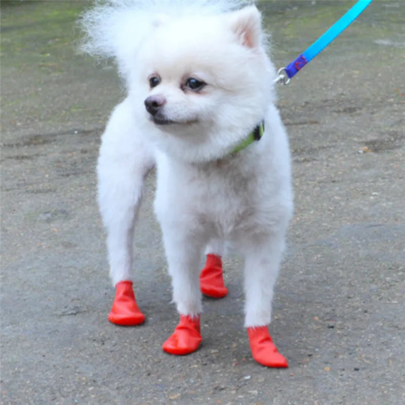 Zapatos de lluvia impermeables estilo globo para mascotas