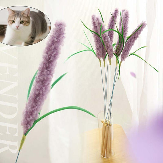 Cañita para gatos modelo lavanda