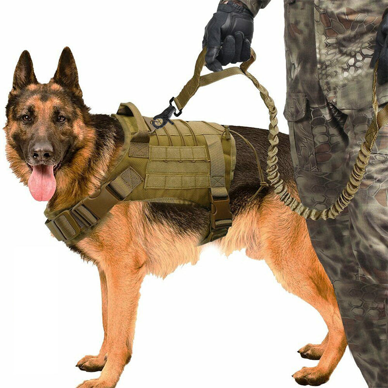 Arnés militar completo para perros