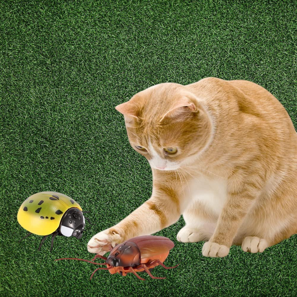 Juguete interactivo de insectos (Modelos variados)