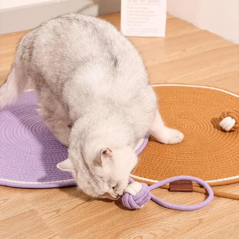 Tapete rascador con forma de gato