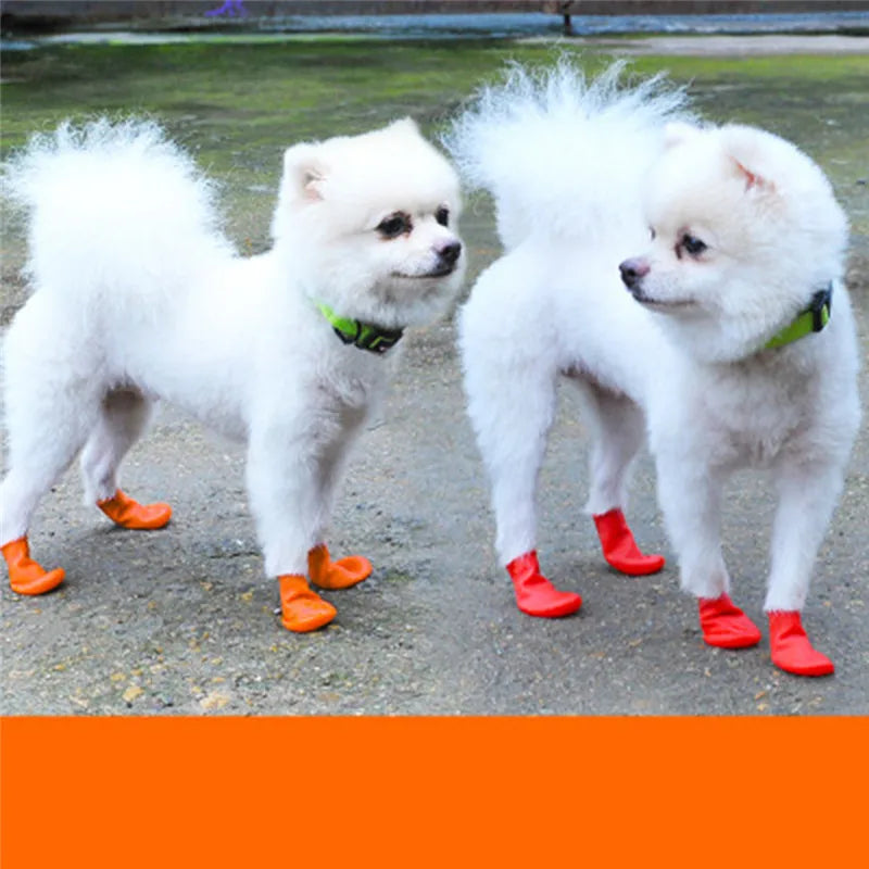 Zapatos de lluvia impermeables estilo globo para mascotas