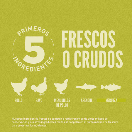 Comida para Perro Orijen: Senior 2kg