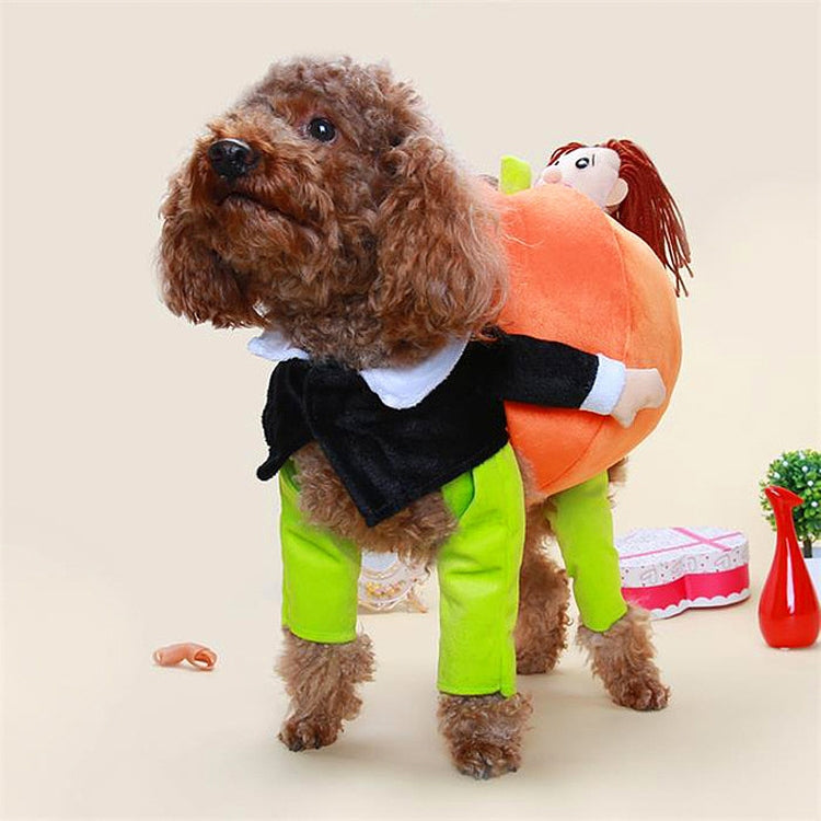 Disfraz halloween calabaza para mascotas