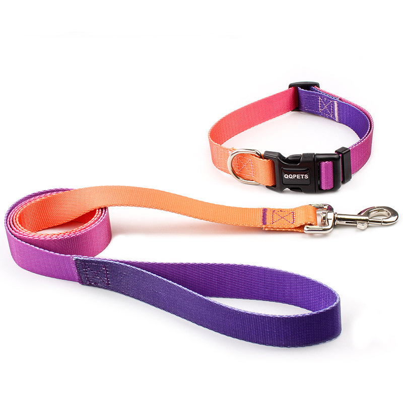 Collar y correa de tracción adecuada para perros pequeños y grandes