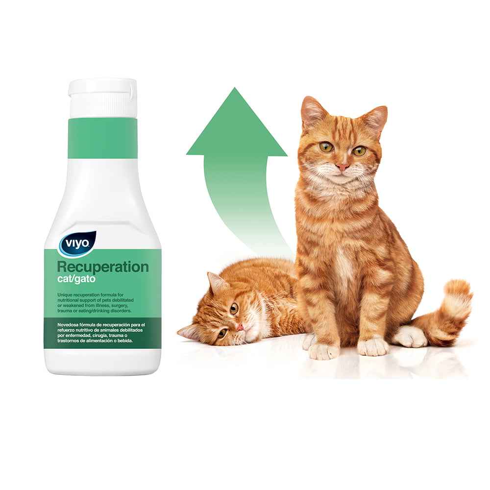 Viyo Recuperation para Gatos (1 botella 150ML)