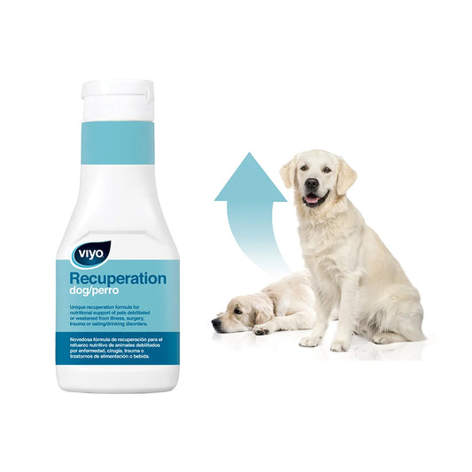 Viyo Recuperation para Perros (1 botella 150ML)