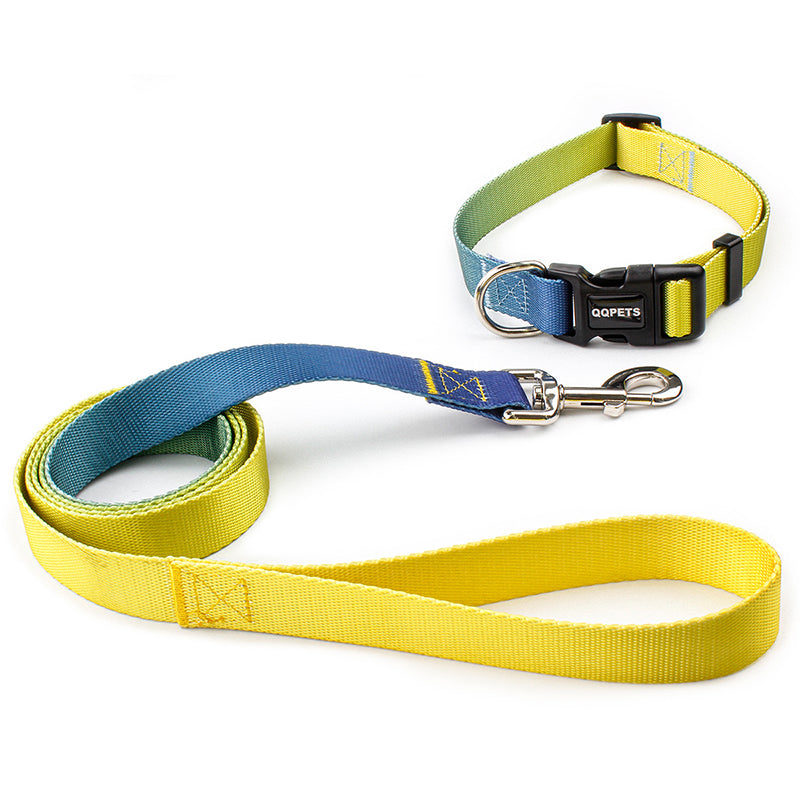 Collar y correa de tracción adecuada para perros pequeños y grandes