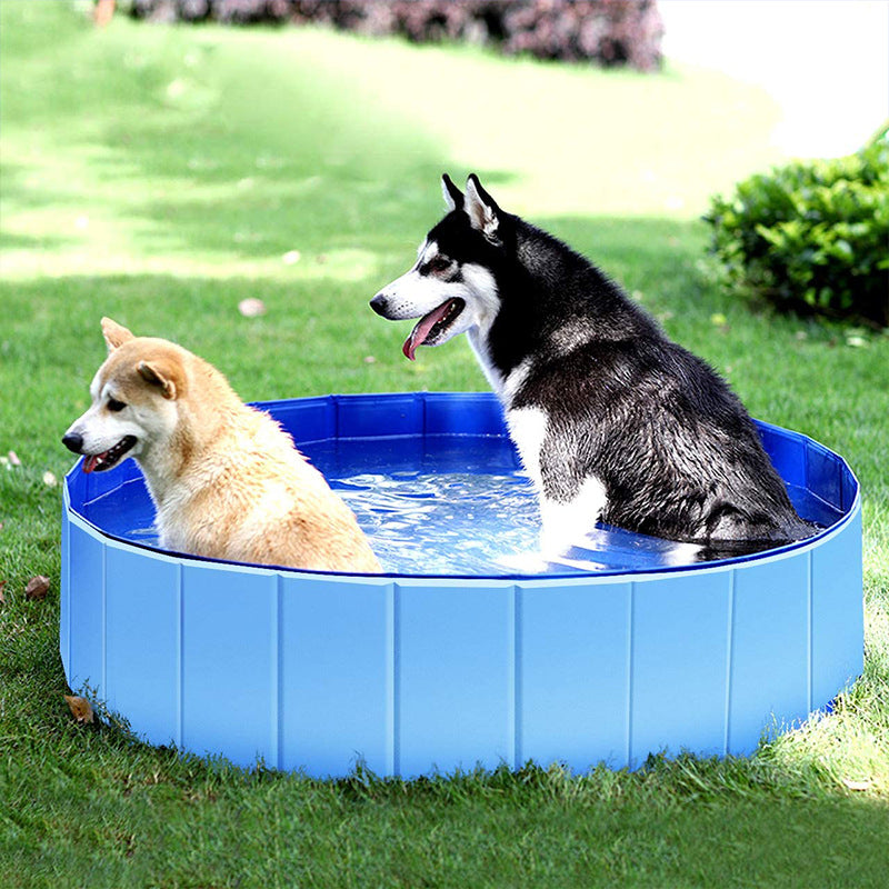  Piscina para perros, piscina plegable para mascotas, pequeña  piscina portátil de PVC para perros, bañera plegable de 24 x 8 pulgadas para  perros y gatos para interiores (azul, pequeña) : Patio