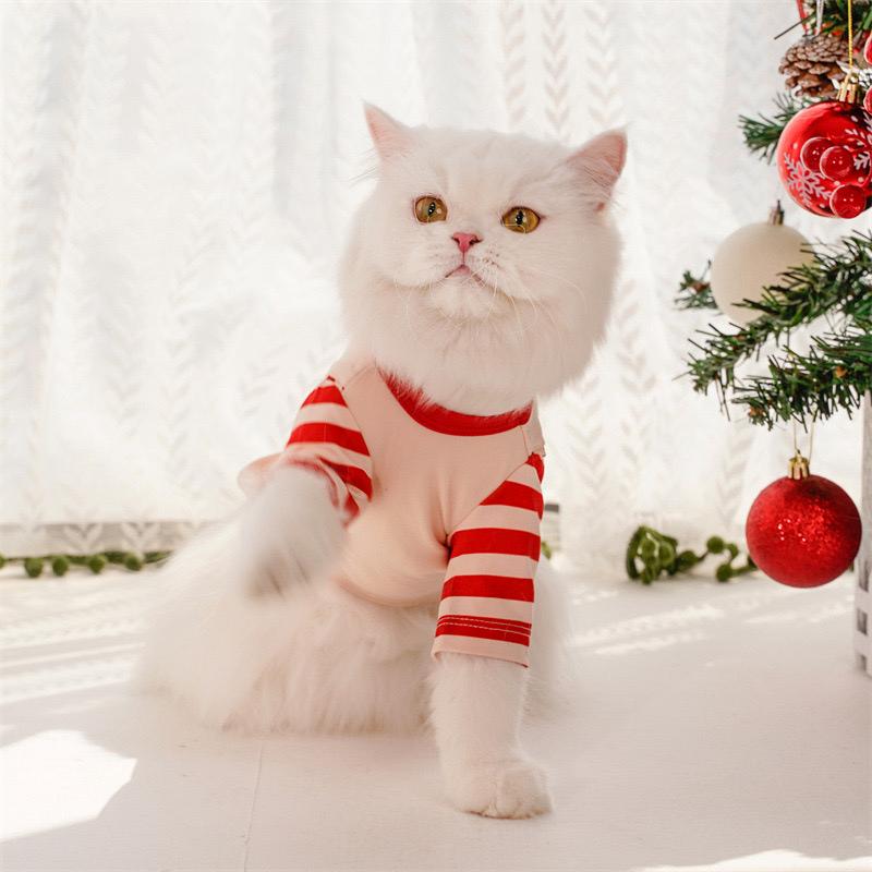 Camiseta de santa para mascotas pequeñas
