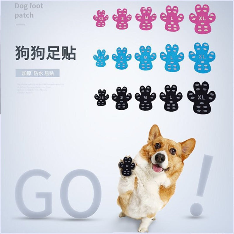 Parches protectores para patas