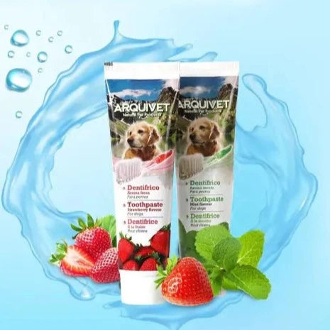 Kit de limpieza dental para mascotas
