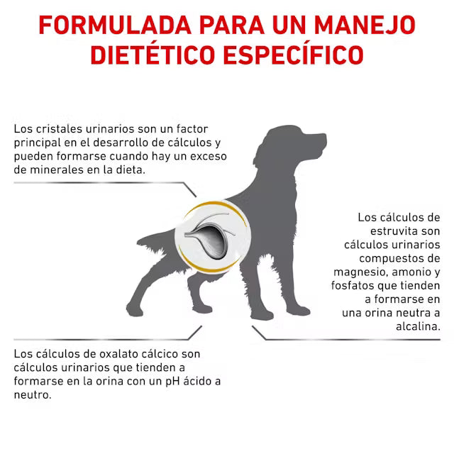 Comida para Perro Royal Canin: Urinary S/O adultos 2kg
