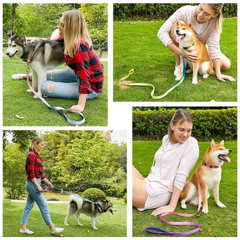 Collar y correa de tracción adecuada para perros pequeños y grandes