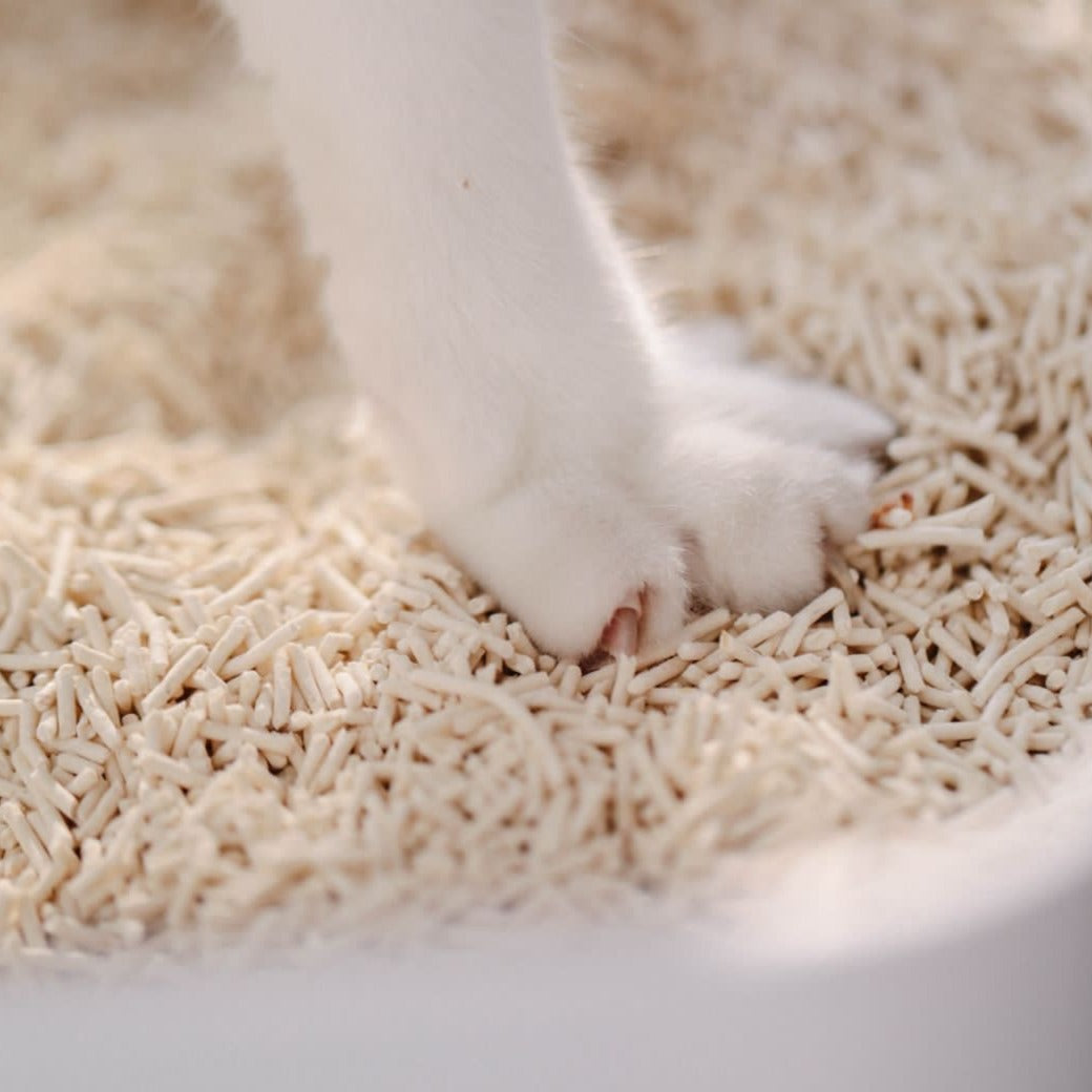 Arena Biodegradable Feli Pet a base de soja 5KG (TÉ VERDE)