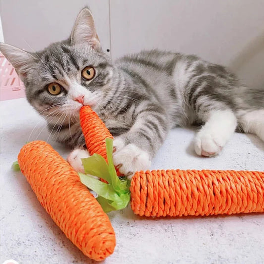 Zanahoria de juguete para mascotas