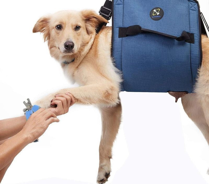 Arnés de transporte para perros