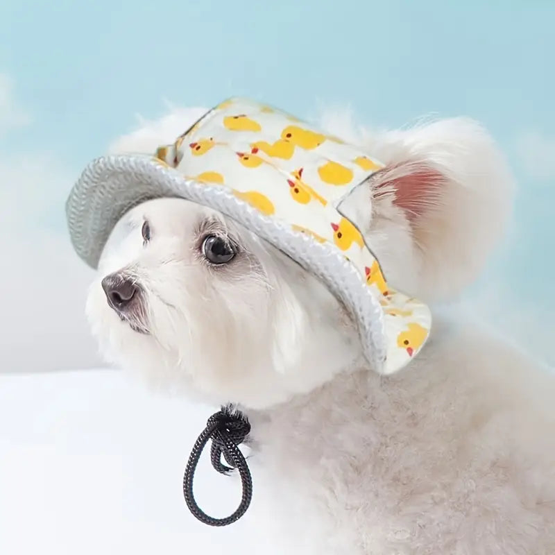 Sombrero con estampado para mascotas