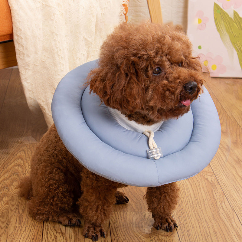 Collar isabelino impermeable con cinta ajustable