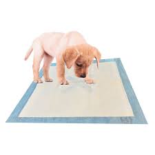 PADS ADHESIVOS BLANCO PARA PERROS