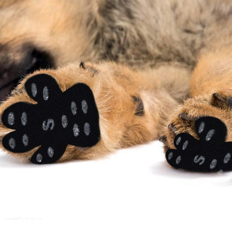 Parches protectores para patas