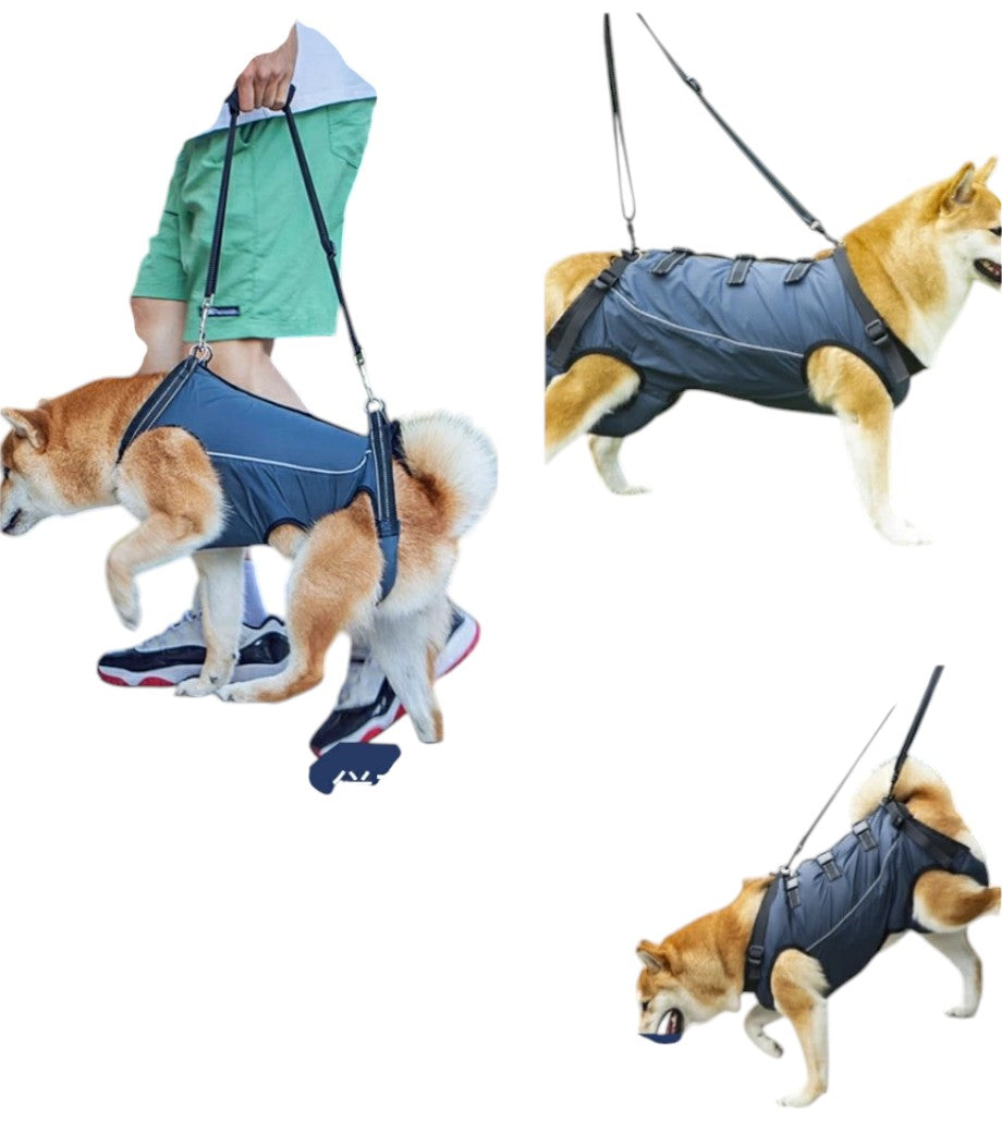 Arnés de asistencia para pasear perros