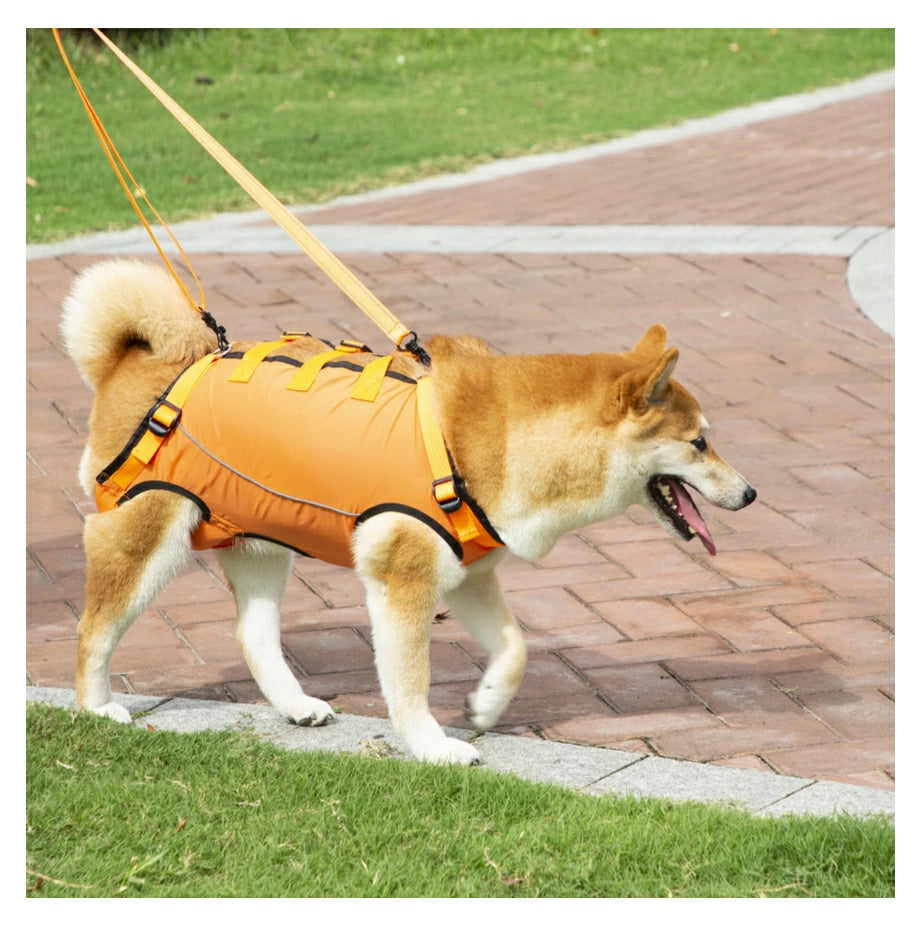 Arnés de asistencia para pasear perros