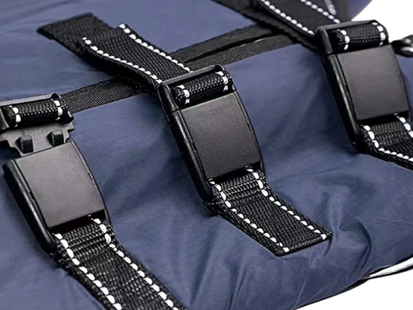 Arnés de asistencia para pasear perros