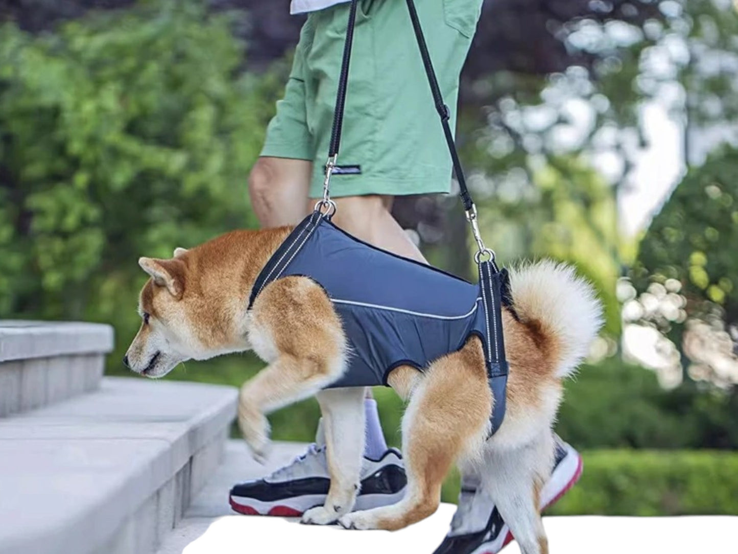 Arnés de asistencia para pasear perros