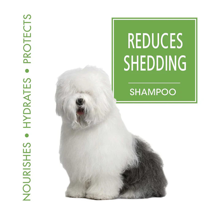 Shampoo Magic Coat para Perros: Reduce la caída del pelo, 16 onz