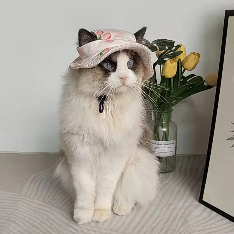 Sombrero con estampado para mascotas