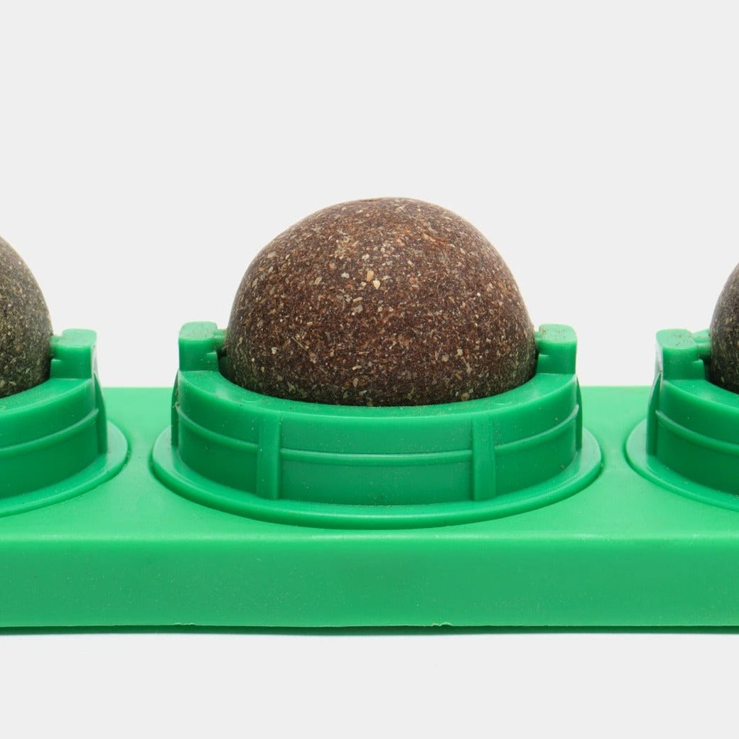 Catnip de 4 piezas adherible a pared y muebles para gatos