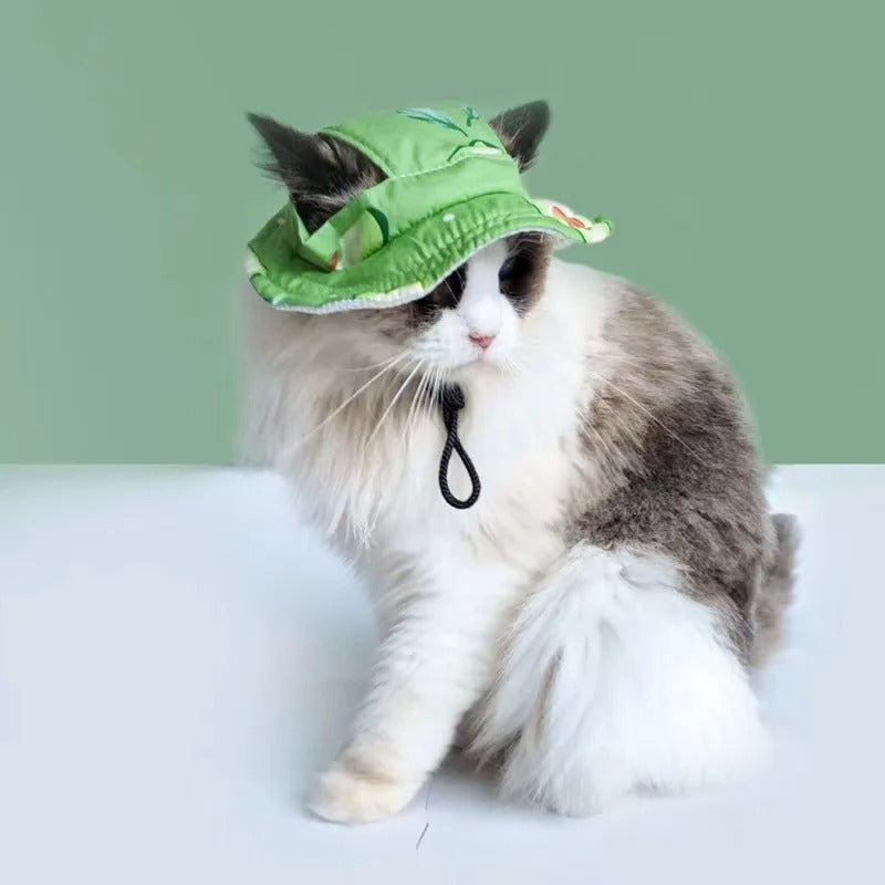Sombrero con estampado para mascotas