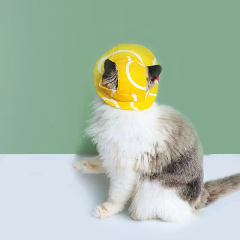 Sombrero con estampado para mascotas