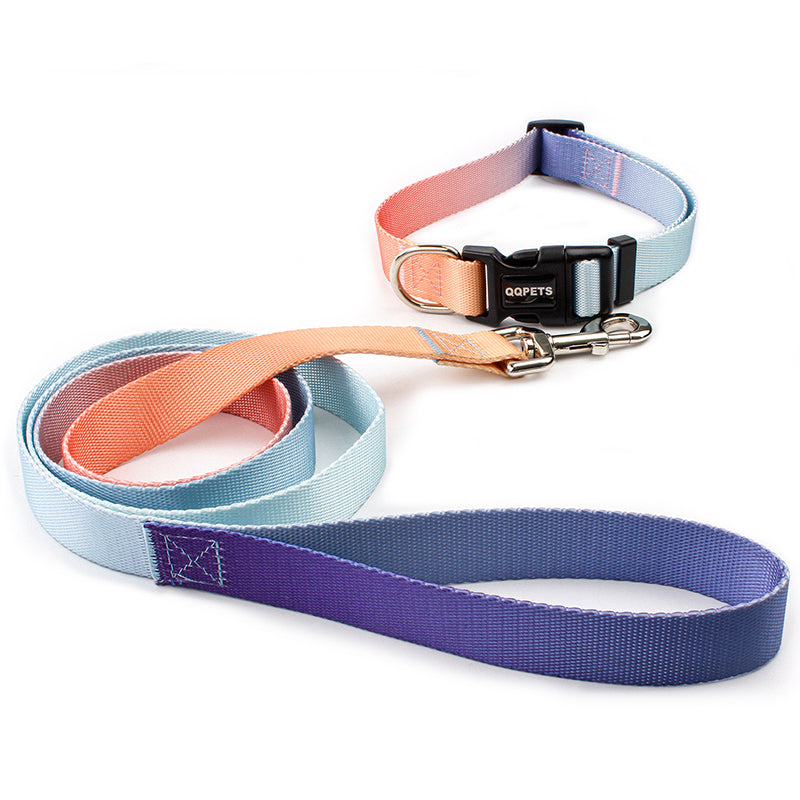 Collar y correa de tracción adecuada para perros pequeños y grandes