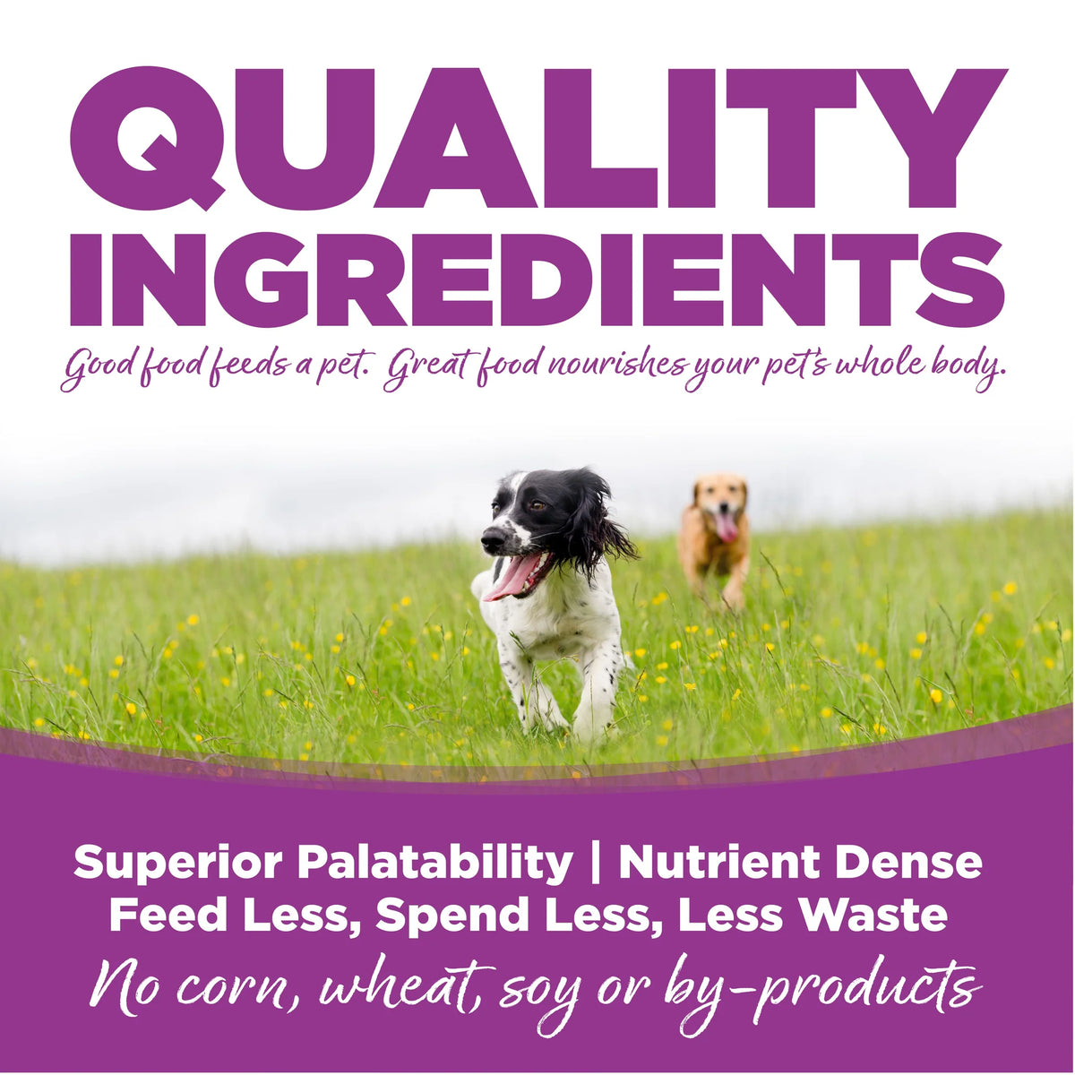 Comida Húmeda para Perro Nutri Source: Lata, Puppy Large Breed 348gr