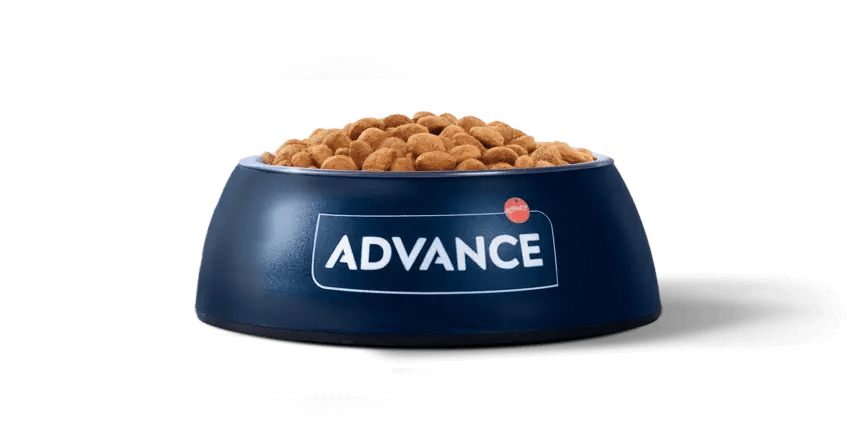 Comida para perro Advance active defense