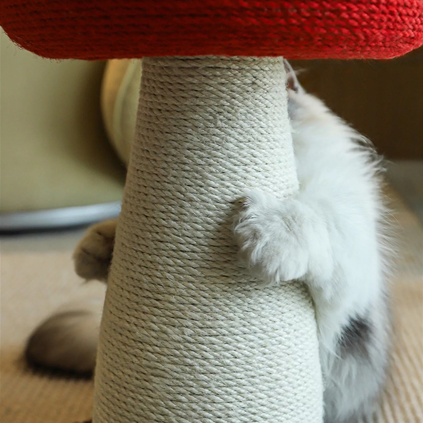 Rascador de sisal con forma de hongo