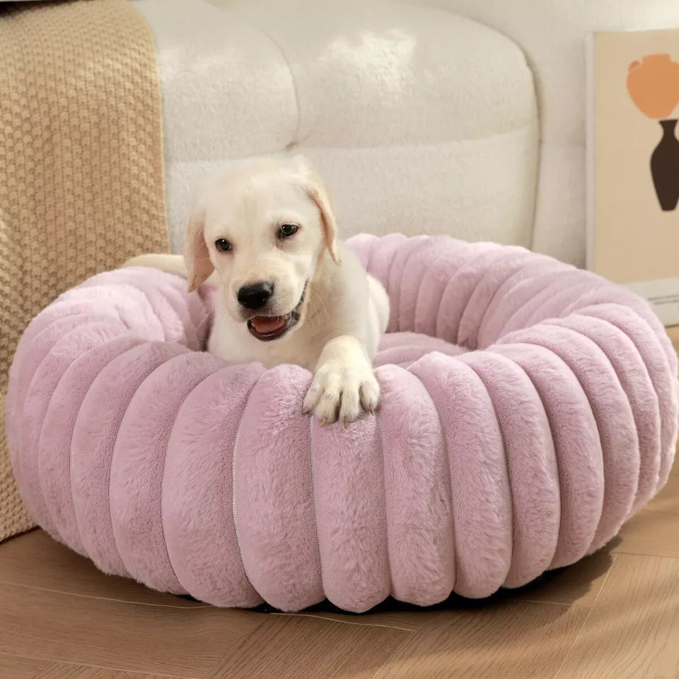 Cama acolchada para perros