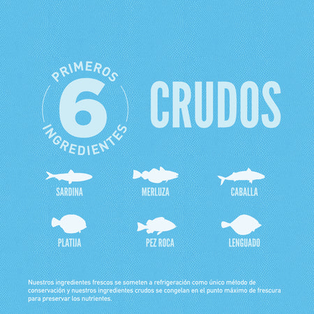 Comida para Gato Orijen: Six Fish, Adulto 2kg