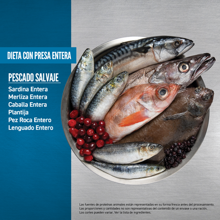 Comida para Gato Orijen: Six Fish, Adulto 2kg